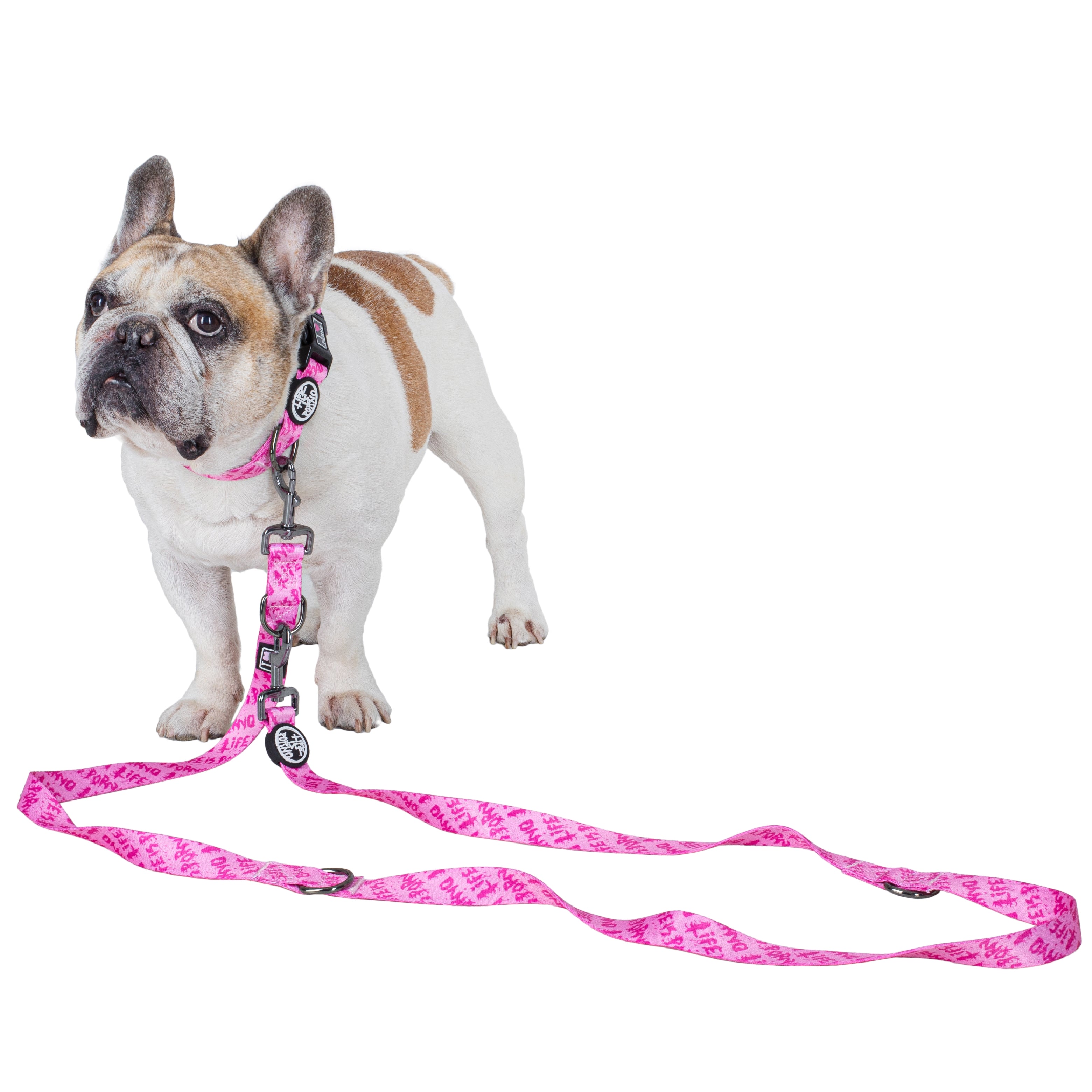 LIP DOG LEASH 2.0: PINK