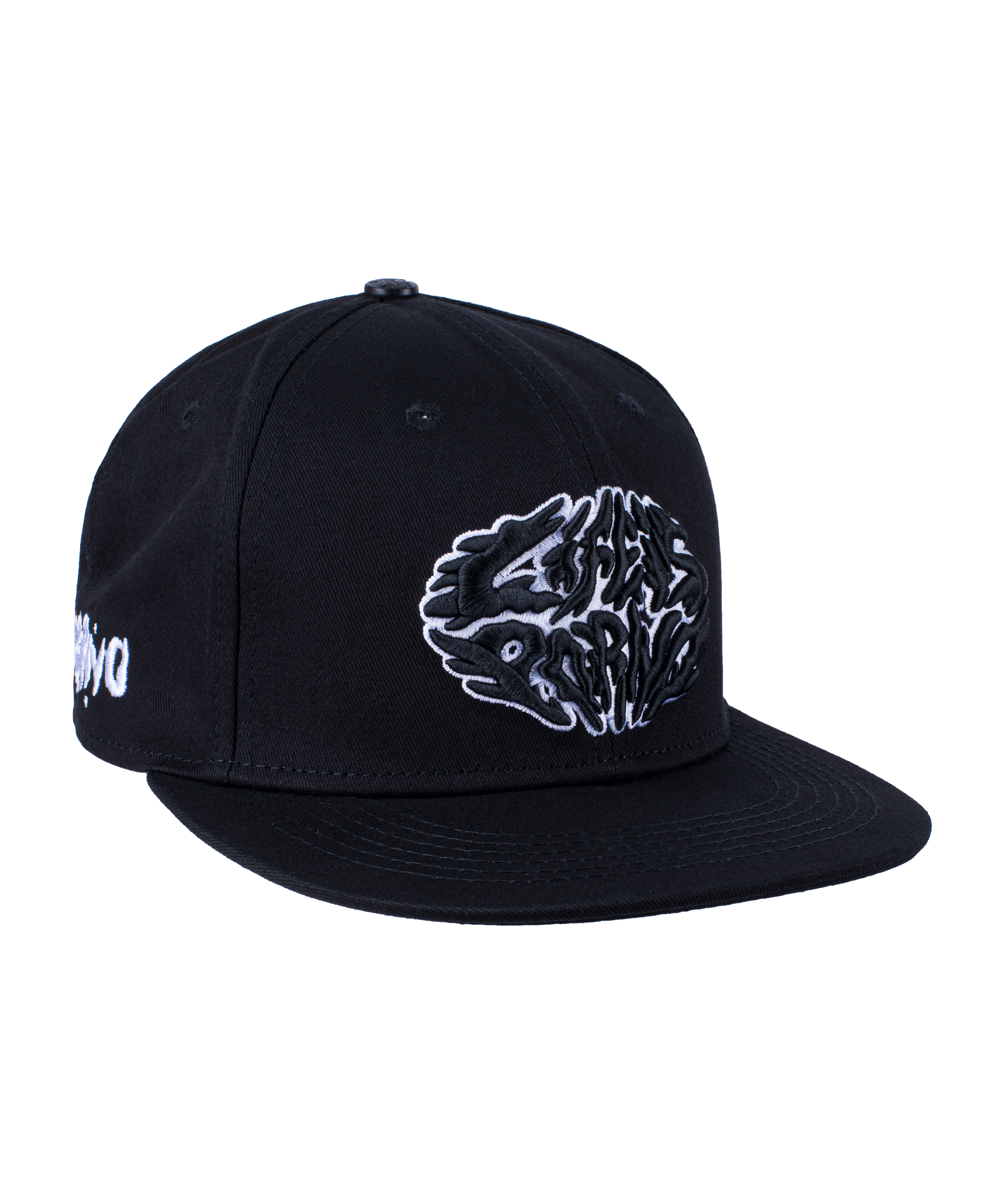 SPIDER FLAT CAP
